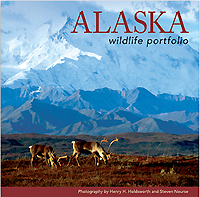 Alaska Wildlife Portfolio