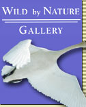 Wild by Nature Gallery